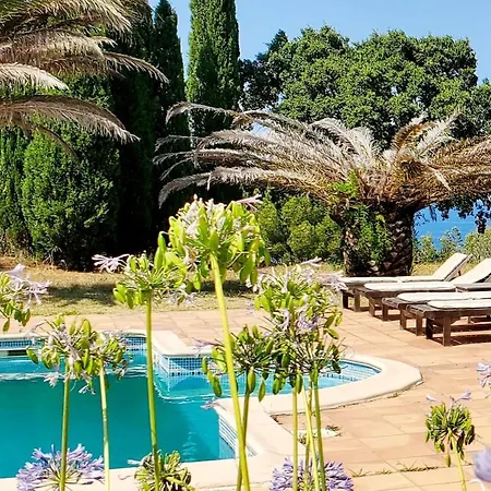 Argeles, Sea View & Pool 아파트 아르젤레쉬르메르